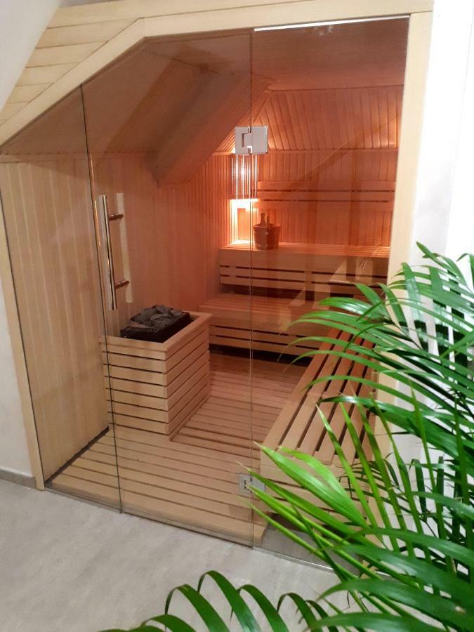 Elena Apartment&Spa Zlatibor Esterno foto